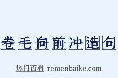卷毛向前冲造句是什么意思的图片